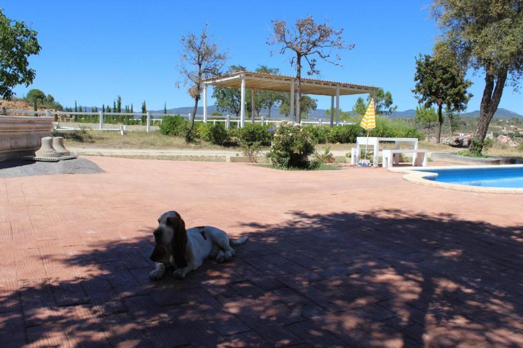 Rocaplana Club De Campo Hotel Vilarrodona Buitenkant foto